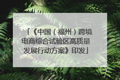 《中国（福州）跨境电商综合试验区高质量发展行动方案》印发