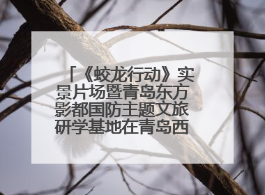 《蛟龙行动》实景片场暨青岛东方影都国防主题文旅研学基地在青岛西海岸新区开业