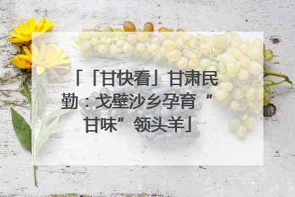 「甘快看」甘肃民勤：戈壁沙乡孕育“甘味”领头羊