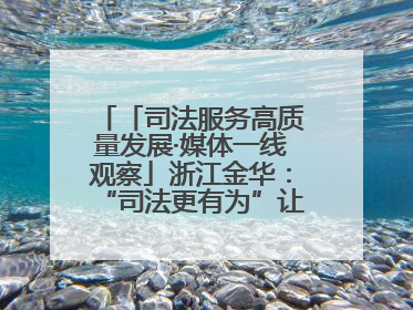 「司法服务高质量发展·媒体一线观察」浙江金华：“司法更有为”让“市场更有力”