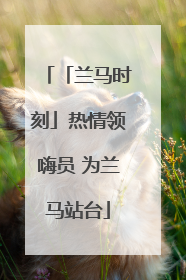 「兰马时刻」热情领嗨员 为兰马站台