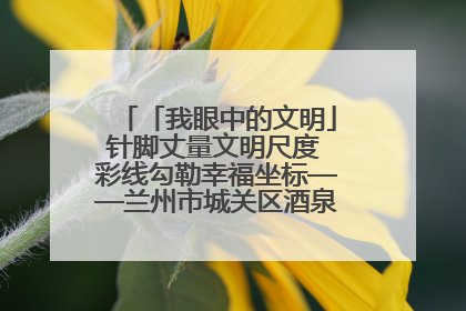 「我眼中的文明」针脚丈量文明尺度 彩线勾勒幸福坐标——兰州市城关区酒泉路街道办事处