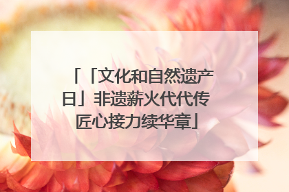 「文化和自然遗产日」非遗薪火代代传 匠心接力续华章