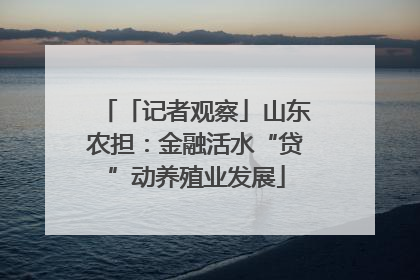 「记者观察」山东农担：金融活水“贷”动养殖业发展