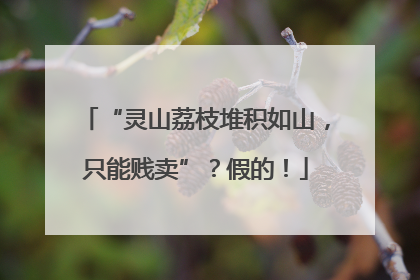 “灵山荔枝堆积如山，只能贱卖”？假的！