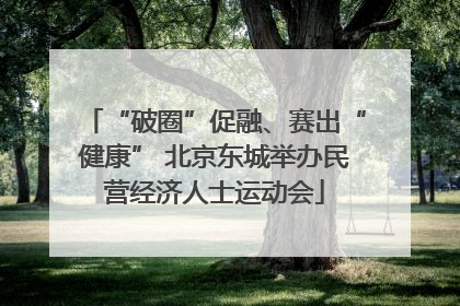 “破圈”促融、赛出“健康” 北京东城举办民营经济人士运动会