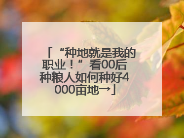 “种地就是我的职业！”看00后种粮人如何种好4000亩地→