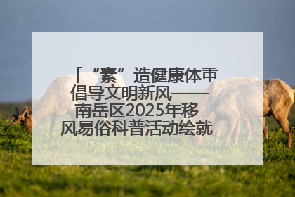 “素”造健康体重 倡导文明新风——南岳区2025年移风易俗科普活动绘就健康生活新图景