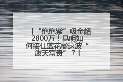 “绝绝紫”吸金超2800万！昆明如何接住蓝花楹这波“泼天富贵”？