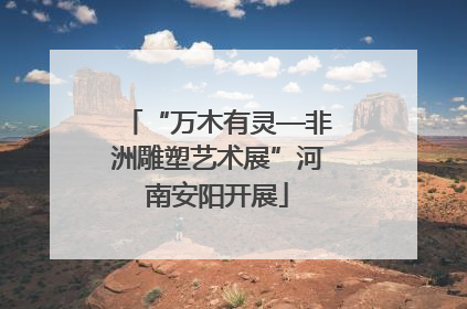 “万木有灵—非洲雕塑艺术展”河南安阳开展