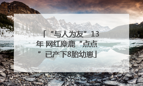 “与人为友”13年 网红麋鹿“点点”已产下8胎幼崽