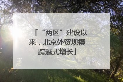 “两区”建设以来，北京外贸规模跨越式增长
