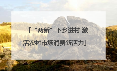 “两新”下乡进村 激活农村市场消费新活力