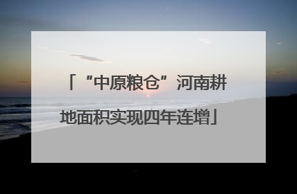 “中原粮仓”河南耕地面积实现四年连增