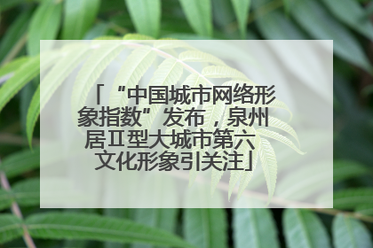 “中国城市网络形象指数”发布，泉州居Ⅱ型大城市第六 文化形象引关注