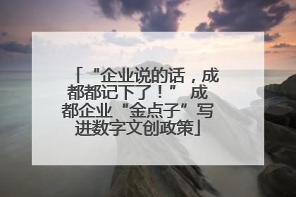“企业说的话，成都都记下了！” 成都企业“金点子”写进数字文创政策
