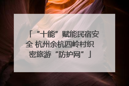 “十能”赋能民宿安全 杭州余杭四岭村织密旅游“防护网”