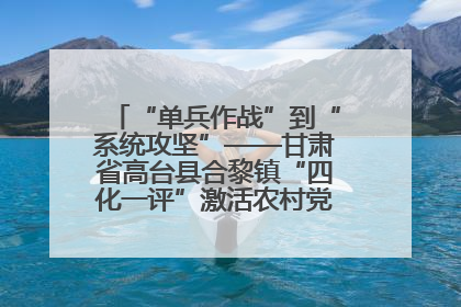 “单兵作战”到“系统攻坚”——甘肃省高台县合黎镇“四化一评”激活农村党员管理新引擎