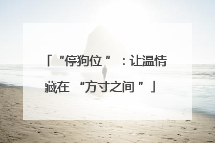 “停狗位 ”：让温情藏在 “方寸之间 ”