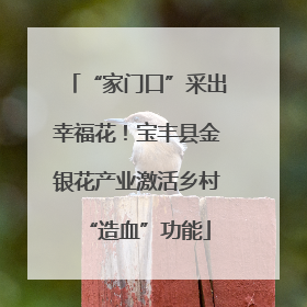“家门口”采出幸福花！宝丰县金银花产业激活乡村“造血”功能
