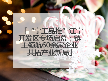 “宁工品推”江宁开发区专场启幕：链主领航60余家企业共拓产业新局