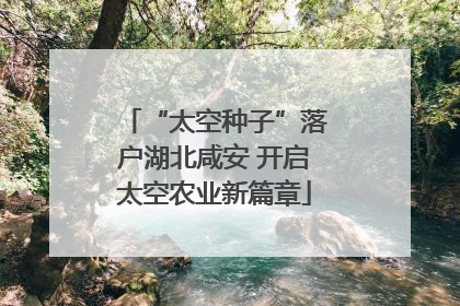 “太空种子”落户湖北咸安 开启太空农业新篇章