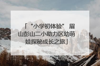 “小学初体验” 眉山彭山二小助力区幼萌娃探秘成长之旅