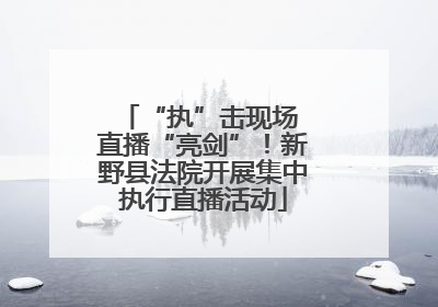“执”击现场 直播“亮剑”！新野县法院开展集中执行直播活动