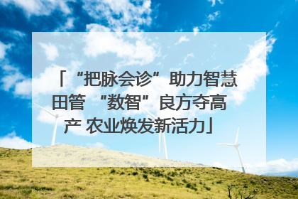 “把脉会诊”助力智慧田管 “数智”良方夺高产 农业焕发新活力