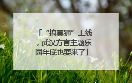 “搞莫狮”上线，武汉方言主题乐园年底也要来了