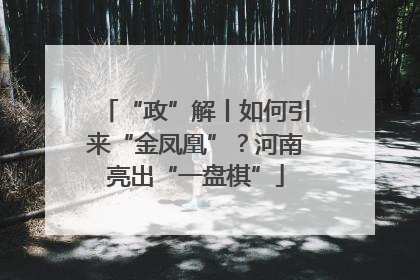 “政”解丨如何引来“金凤凰”？河南亮出“一盘棋”