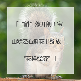 “斛”然开朗！宝山罗泾石斛花节绽放“花样经济”