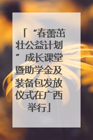 “春蕾茁壮公益计划”成长课堂暨助学金及装备包发放仪式在广西举行