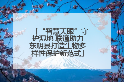 “智慧天眼”守护湿地 联通助力东明县打造生物多样性保护新范式