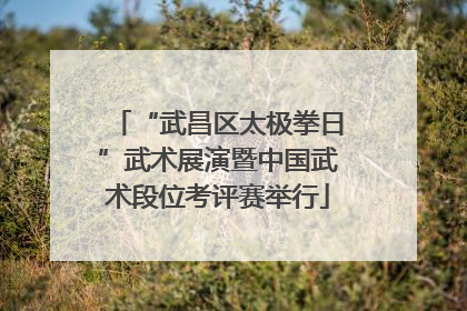 “武昌区太极拳日”武术展演暨中国武术段位考评赛举行