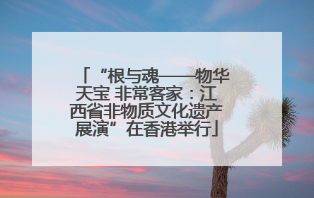 “根与魂——物华天宝 非常客家：江西省非物质文化遗产展演”在香港举行