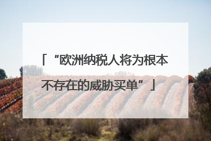 “欧洲纳税人将为根本不存在的威胁买单”