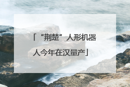 “荆楚”人形机器人今年在汉量产