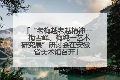 “老梅越老越精神——梅雪峰、梅纯一艺术研究展”研讨会在安徽省美术馆召开