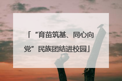 “育苗筑基、同心向党”民族团结进校园