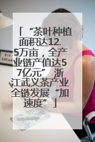“茶叶种植面积达12.5万亩，全产业链产值达57亿元” 浙江武义茶产业全链发展“加速度”