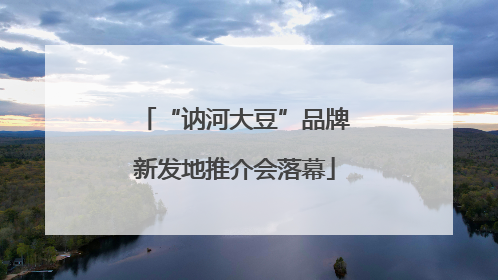“讷河大豆”品牌新发地推介会落幕