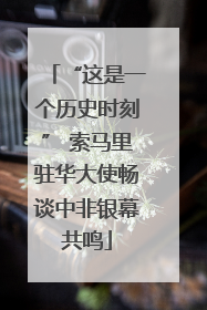 “这是一个历史时刻” 索马里驻华大使畅谈中非银幕共鸣