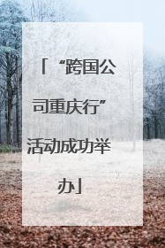 “跨国公司重庆行”活动成功举办
