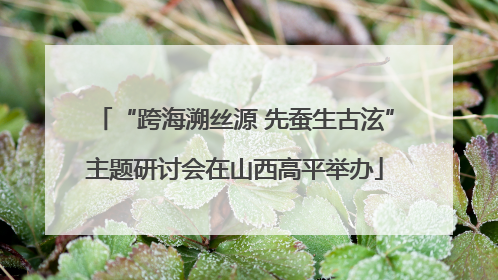 “跨海溯丝源 先蚕生古泫”主题研讨会在山西高平举办