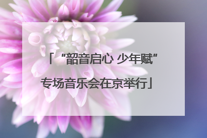 “韶音启心 少年赋”专场音乐会在京举行