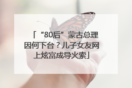 “80后”蒙古总理因何下台？儿子女友网上炫富成导火索