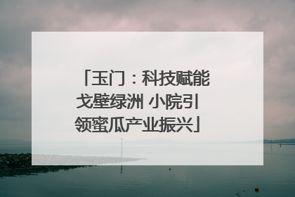玉门：科技赋能戈壁绿洲 小院引领蜜瓜产业振兴