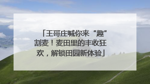 王哥庄喊你来“趣”割麦！麦田里的丰收狂欢，解锁田园新体验
