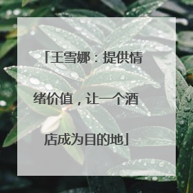 王雪娜：提供情绪价值，让一个酒店成为目的地